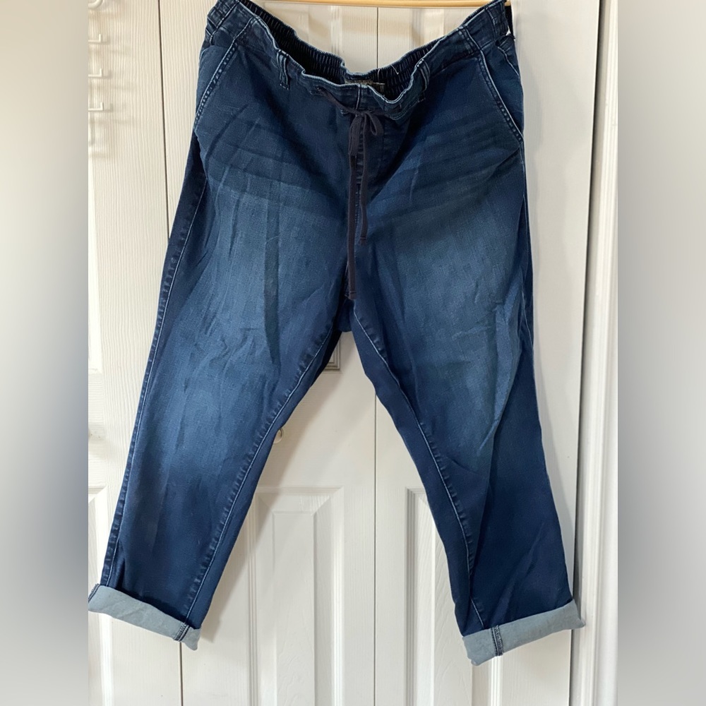 Torrid boyfriend joggers size 3 Short